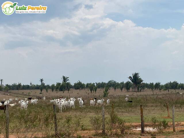 Fazenda para Venda em Rio Maria - 5