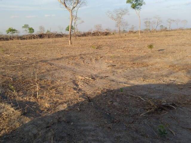 Fazenda para Venda em Riachão - 5