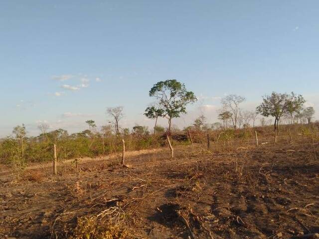 #2717 - Fazenda para Venda em Riachão - MA - 2