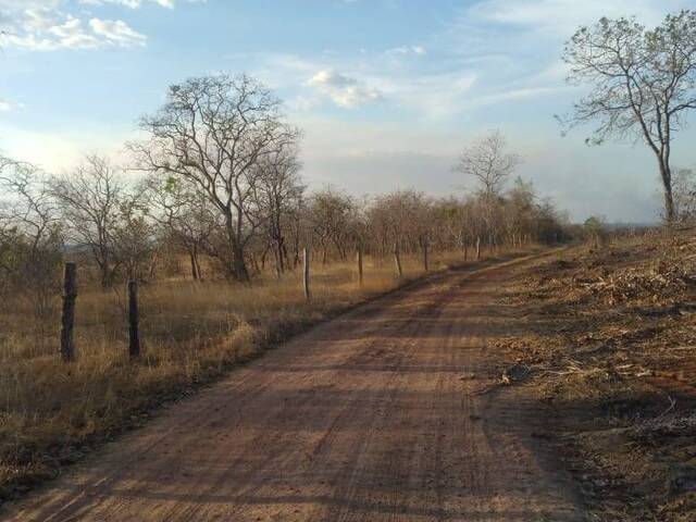 #2717 - Fazenda para Venda em Riachão - MA - 3