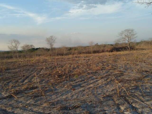 Fazenda para Venda em Riachão - 4