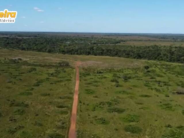 Fazenda para Venda em Cristalândia - 5