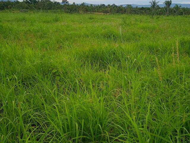 #2722 - Fazenda para Venda em Floresta do Araguaia - PA - 3