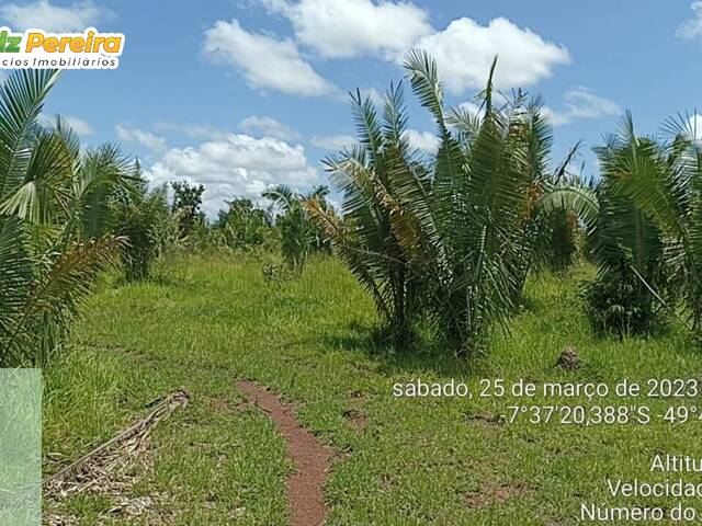 #2722 - Fazenda para Venda em Floresta do Araguaia - PA - 2