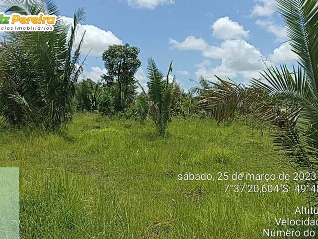 Fazenda para Venda em Floresta do Araguaia - 5