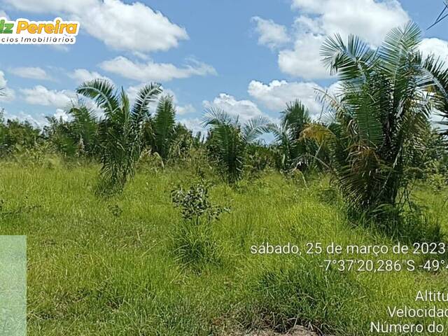 #2722 - Fazenda para Venda em Floresta do Araguaia - PA - 1