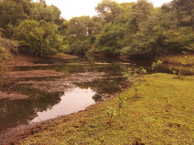 #2724 - Fazenda para Venda em Corumbá - MS - 3