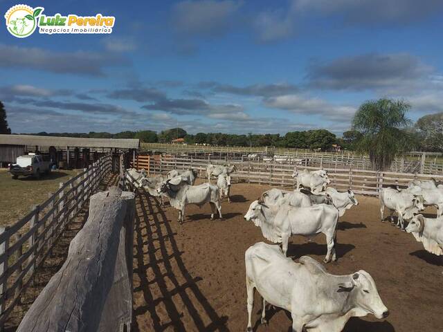 #2724 - Fazenda para Venda em Corumbá - MS