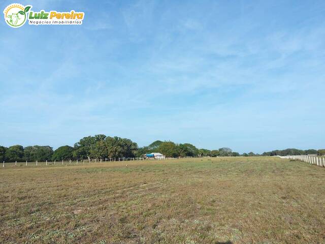 Fazenda para Venda em Corumbá - 4