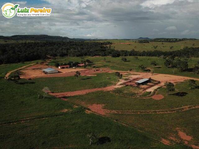 Fazenda para Venda em Alto Araguaia - 5