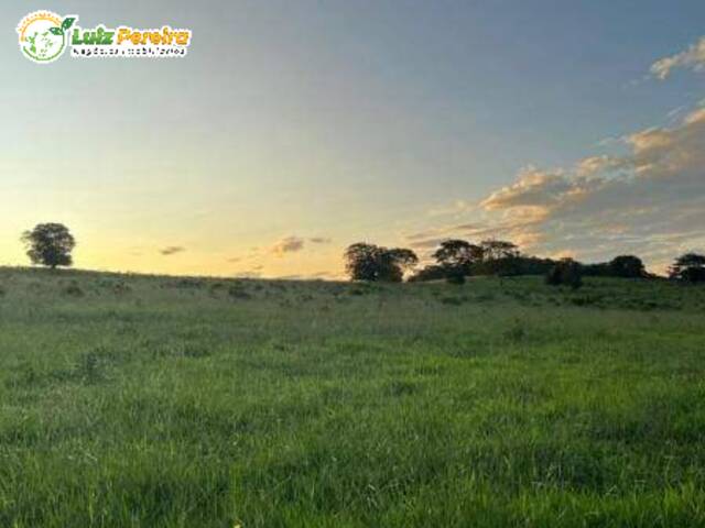 #2726 - Fazenda para Venda em Alto Araguaia - MT