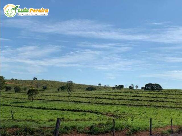 #2726 - Fazenda para Venda em Alto Araguaia - MT - 3