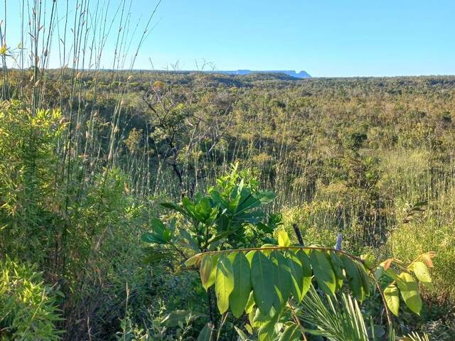 Venda em Zona Rural - Centenário