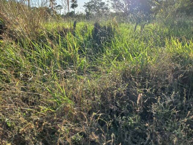 #2727 - Fazenda para Venda em Centenário - TO - 2