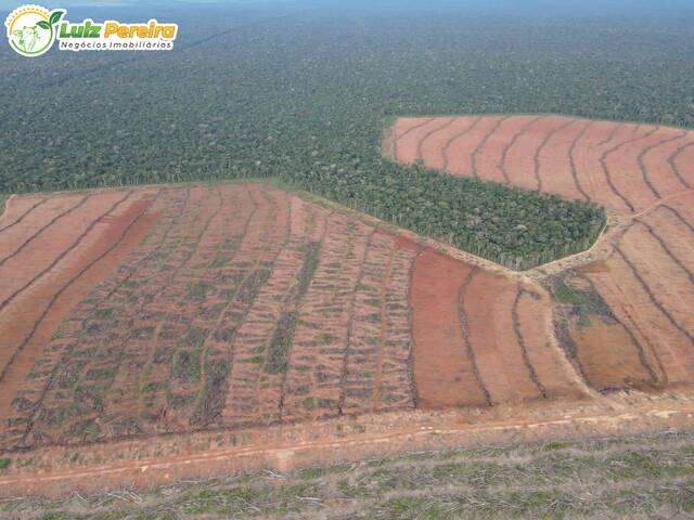 #2728 - Fazenda para Venda em Tabaporã - MT - 1