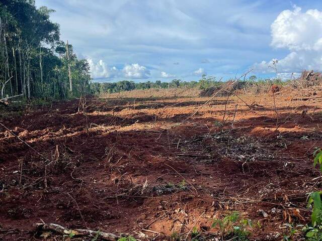 Fazenda para Venda em Tabaporã - 5
