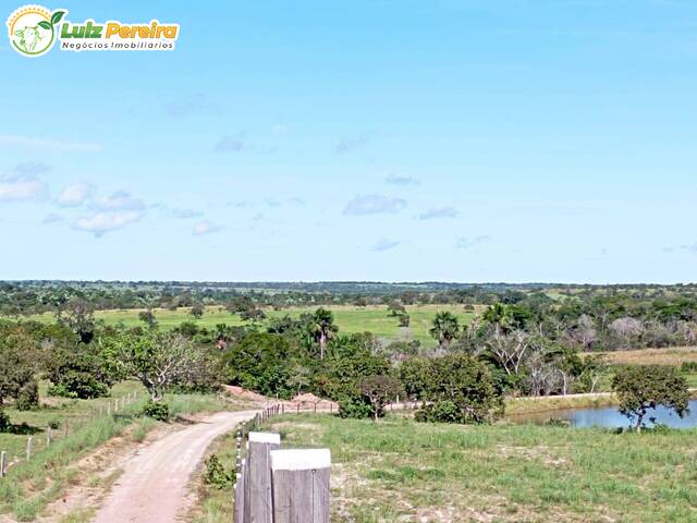 #2729 - Fazenda para Venda em Dois Irmãos do Tocantins - TO - 1