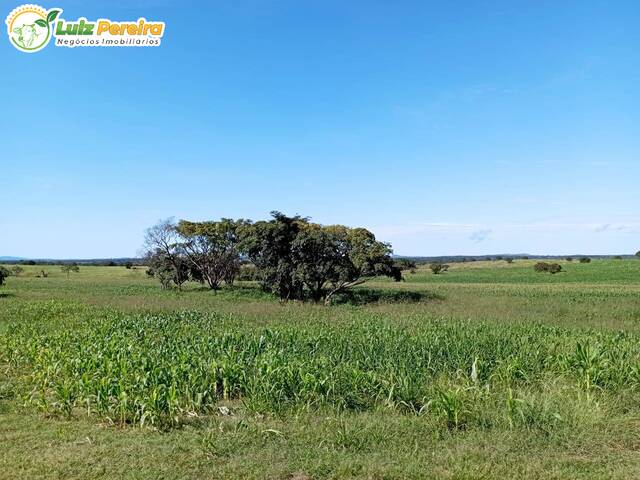 Fazenda para Venda em Dois Irmãos do Tocantins - 4