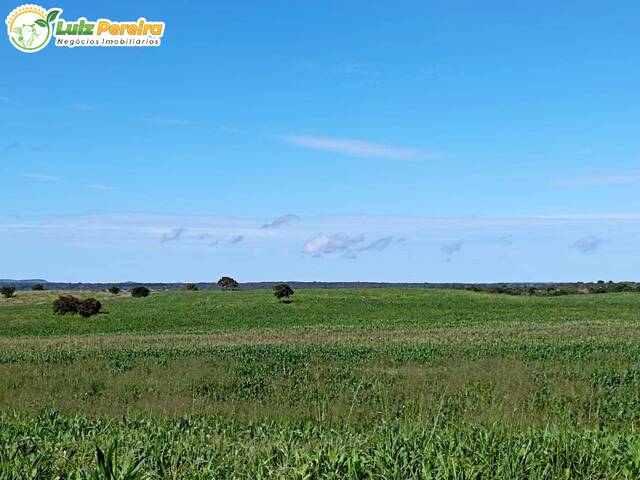 #2729 - Fazenda para Venda em Dois Irmãos do Tocantins - TO - 3