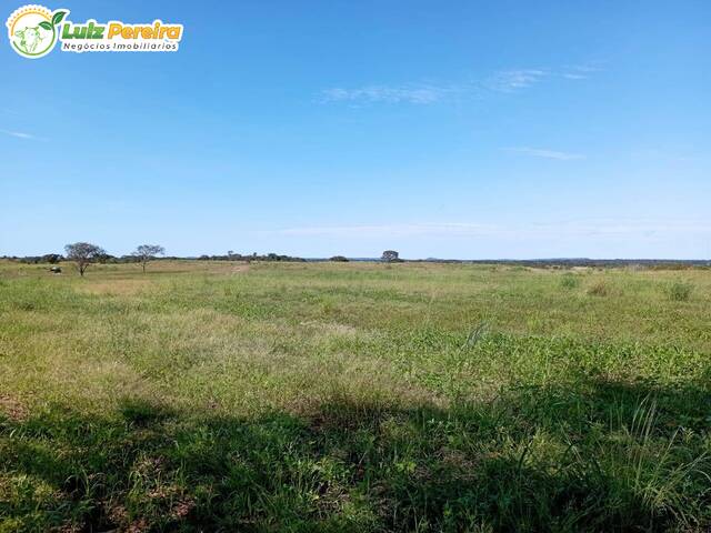 #2729 - Fazenda para Venda em Dois Irmãos do Tocantins - TO - 2