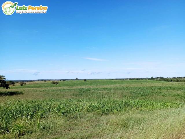 Fazenda para Venda em Dois Irmãos do Tocantins - 5