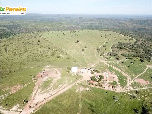 #2731 - Fazenda para Venda em Tesouro - MT - 3