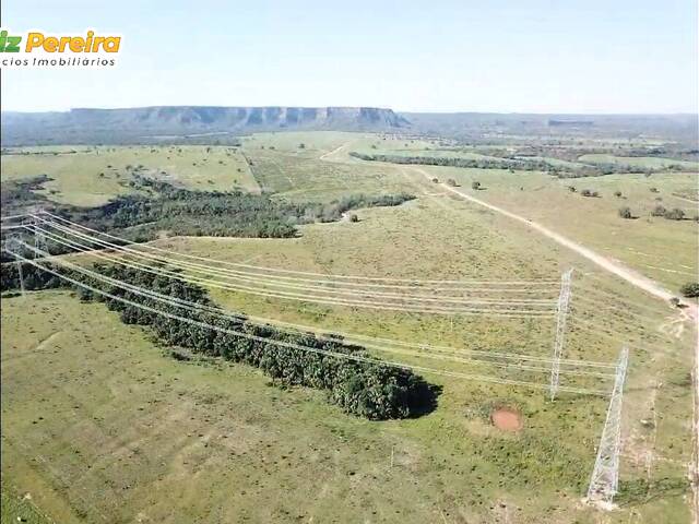Fazenda para Venda em Tesouro - 4