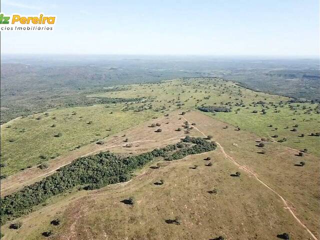 Fazenda para Venda em Tesouro - 5