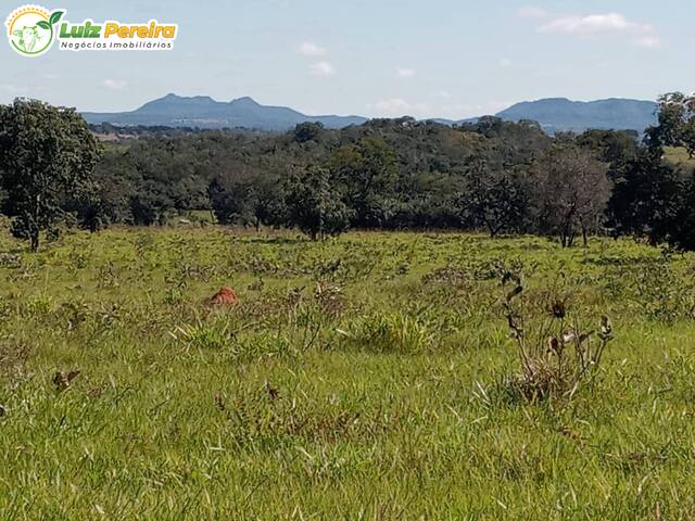 #2732 - Fazenda para Venda em Araguaína - TO - 1