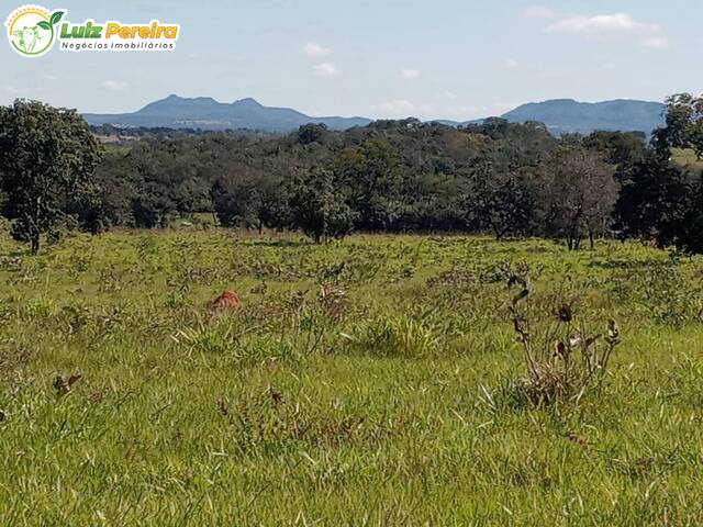 #2732 - Fazenda para Venda em Araguaína - TO