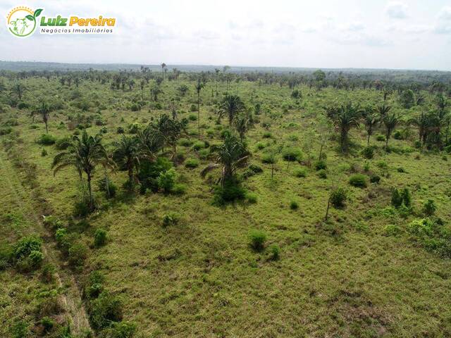 #2732 - Fazenda para Venda em Araguaína - TO - 2