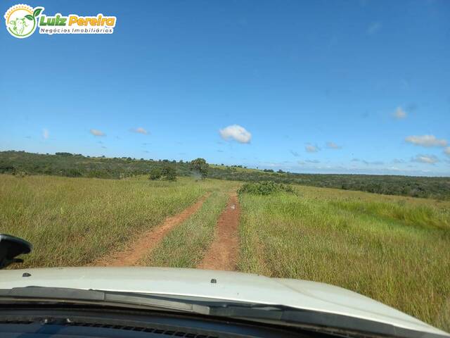 Fazenda para Venda em Camapuã - 5