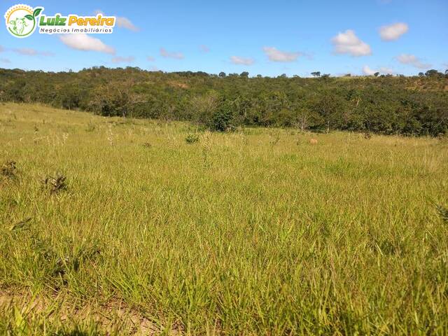 Fazenda para Venda em Camapuã - 4