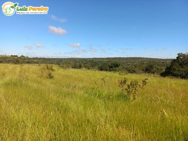 #2733 - Fazenda para Venda em Camapuã - MS - 1