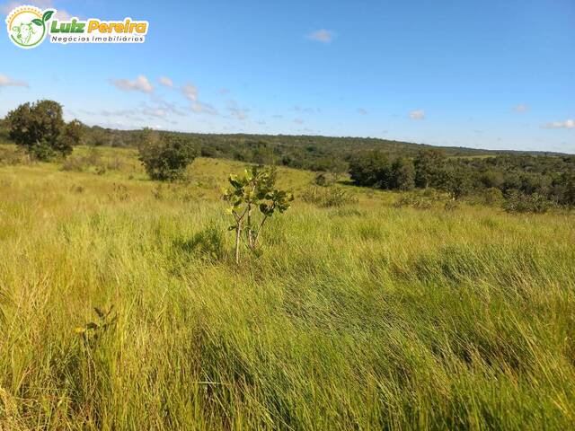 #2733 - Fazenda para Venda em Camapuã - MS - 3