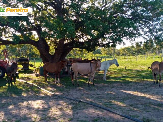 #2734 - Fazenda para Venda em Miranda - MS - 2