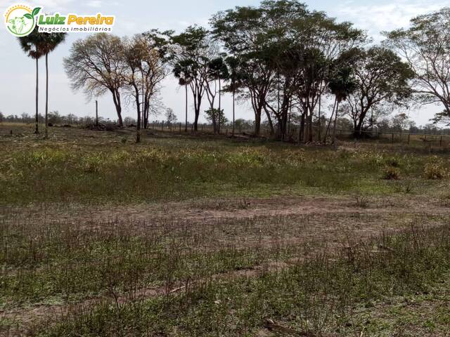 #2734 - Fazenda para Venda em Miranda - MS