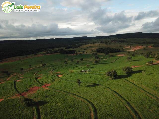 Fazenda para Venda em Alto Araguaia - 4