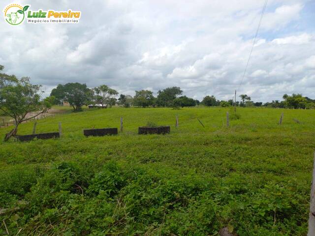 Venda em Zona Rural - Ananás