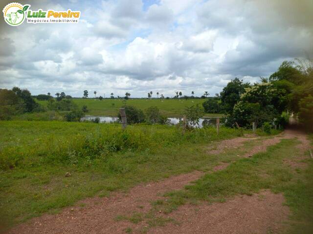 Fazenda para Venda em Ananás - 4