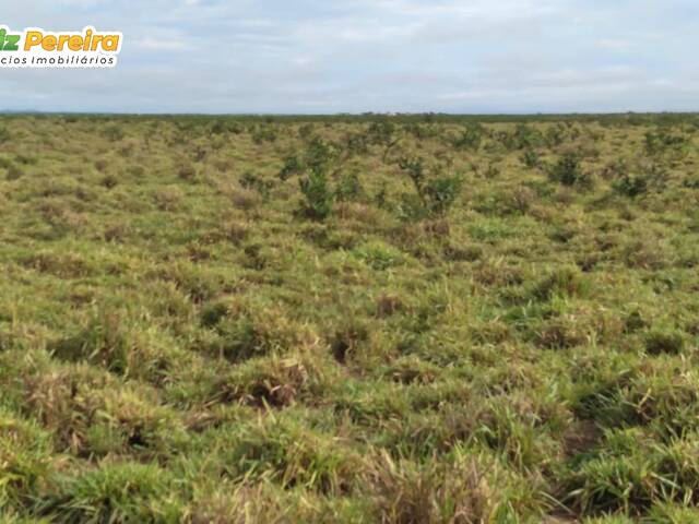 #2737 - Chácara para Venda em Dois Irmãos do Tocantins - TO - 3