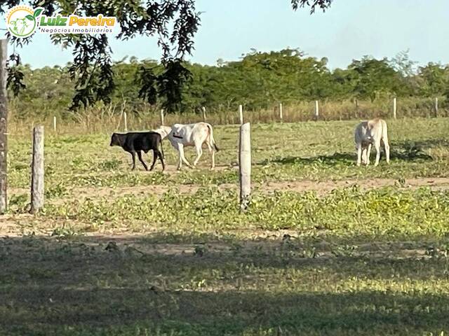 Venda em Industrial - Corumbá