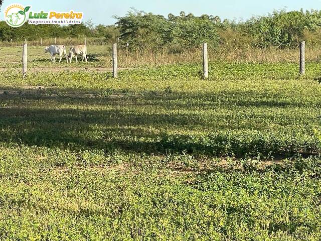 #2738 - Fazenda para Venda em Corumbá - MS - 3