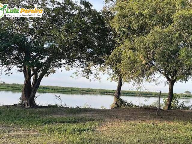 Fazenda para Venda em Corumbá - 4