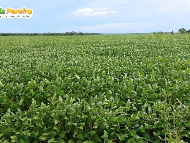 #2739 - Fazenda para Venda em Santa Rita do Tocantins - TO - 2