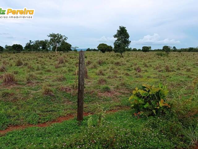 Fazenda para Venda em Santa Rita do Tocantins - 5