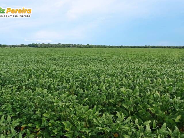 #2739 - Fazenda para Venda em Santa Rita do Tocantins - TO