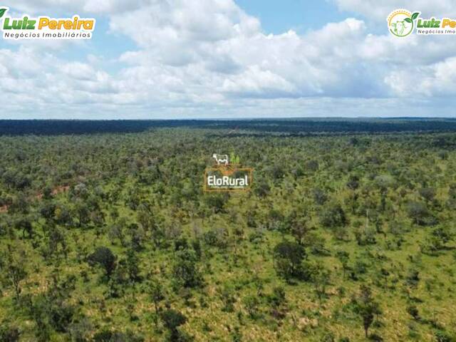 Fazenda para Venda em Fernando Falcão - 4