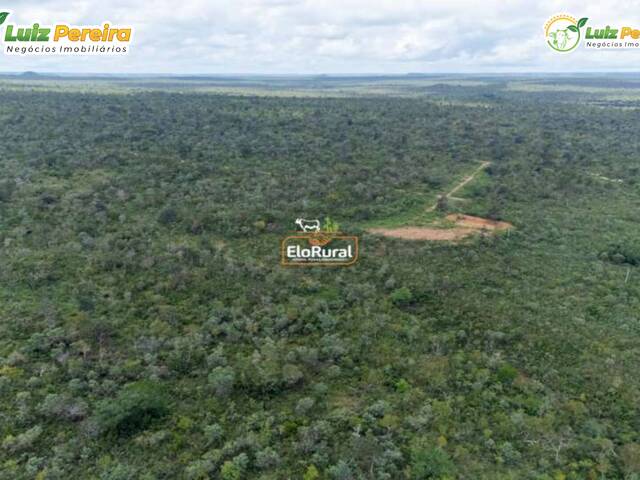 Fazenda para Venda em Fernando Falcão - 5
