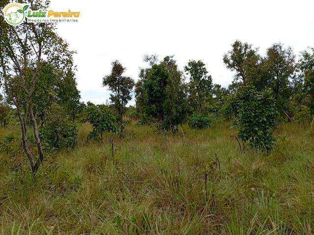 #2741 - Fazenda para Venda em Dois Irmãos do Tocantins - TO